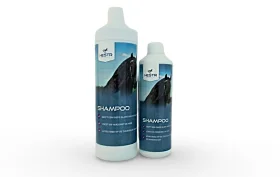Royal shampoo