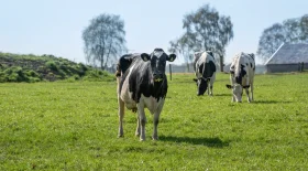 HIGHRES drukwerk 300dpi Bio Chem website dieren 18april2018 2123