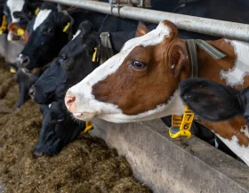 Foto 5 Brochure