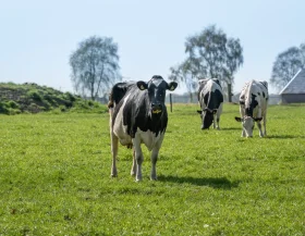 HIGHRES drukwerk 300dpi Bio Chem website dieren 18april2018 2123