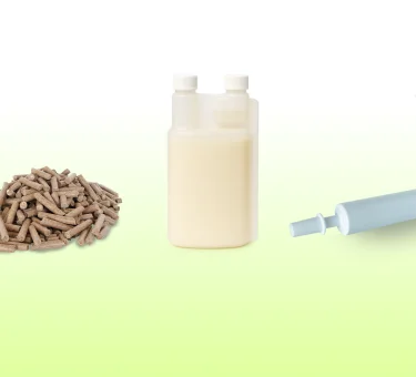Header supplementenpagina 2